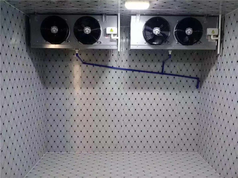 Walk in Cold Room for Supermarket/Cold Storage Room for Frozen Food/ Freezer Room Cold Storage Customized