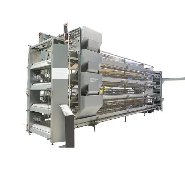 Automated Poultry Farm Equipment a Type Layer Egg Laying Chicken Cage with Automatic Feeding System