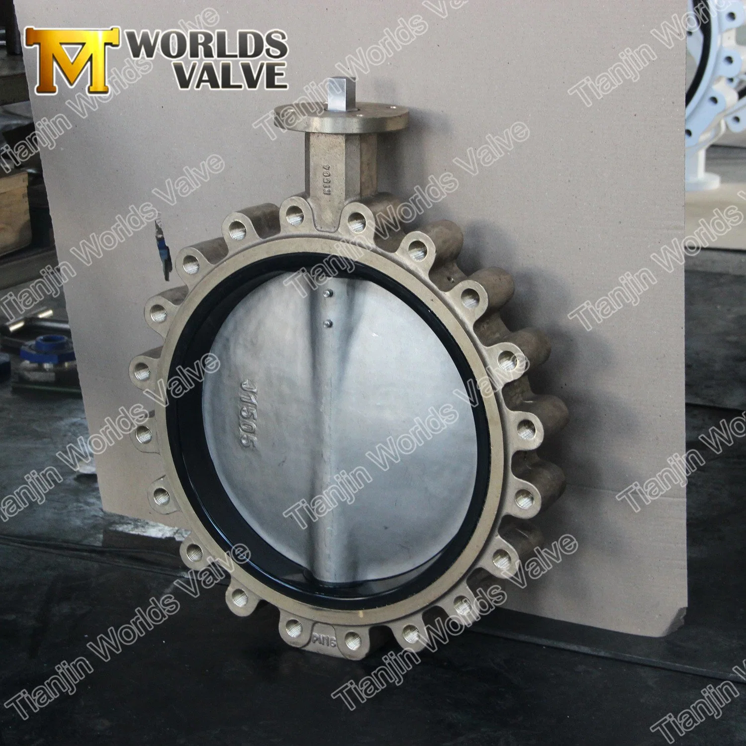 Ggg40 Ggg50 EPDM NBR Sealing Full Lugged Butterfly Valves Ss Body and Disc