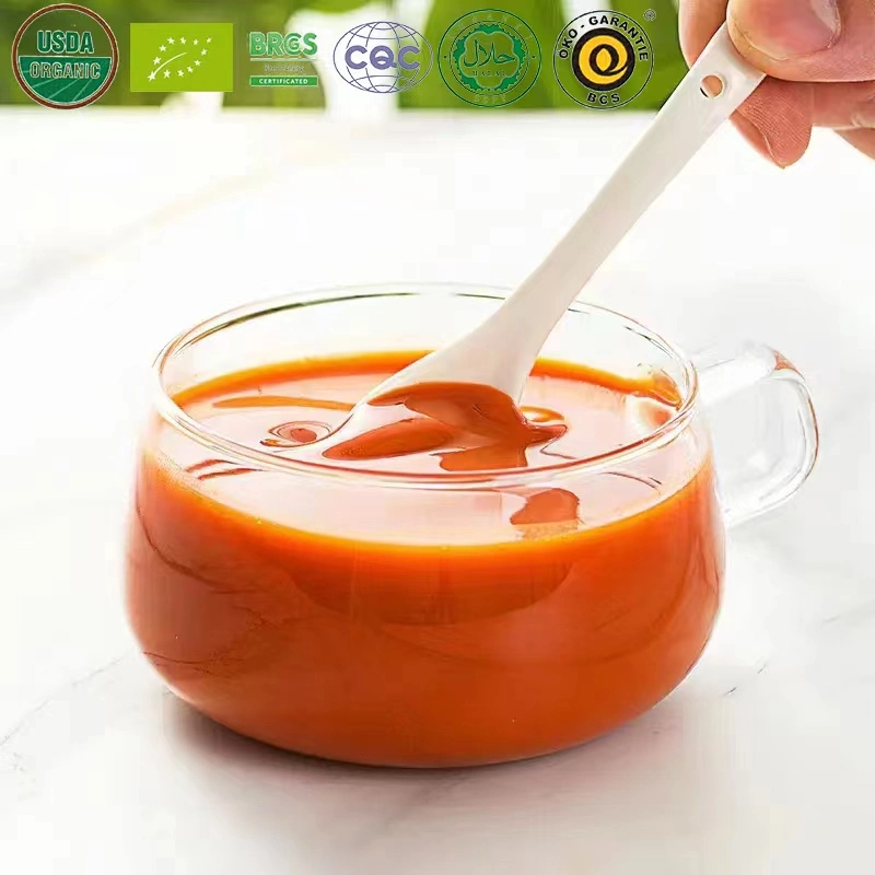 Boa qualidade Saúde funcional pó orgânico Goji Juice Powder Support OEM