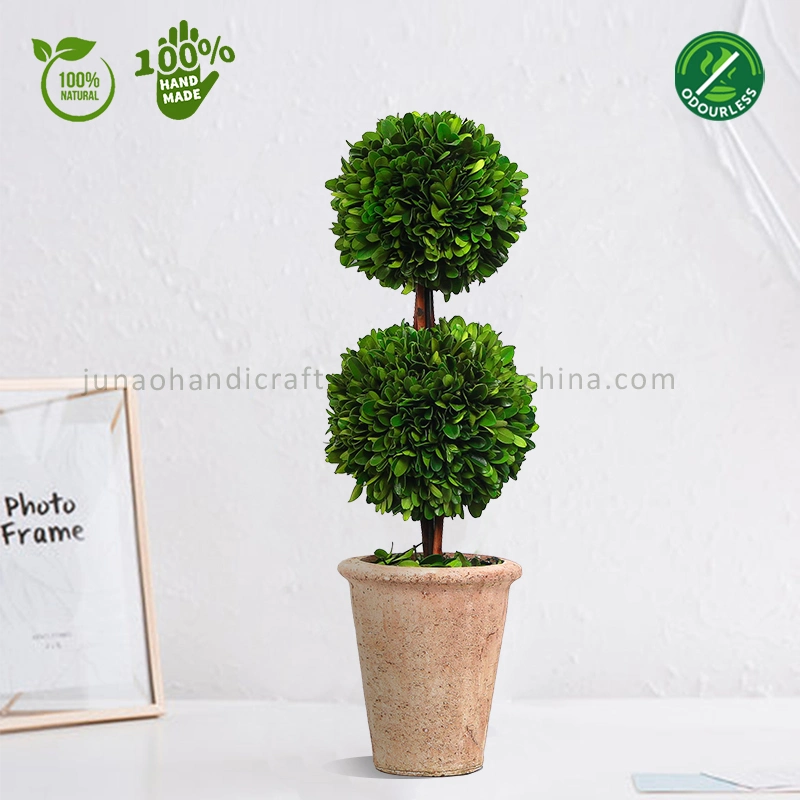 100% Natural Preserved Boxwood Topiary Bonsai Modern Greenery Plant Double Balls Tree Ornaments