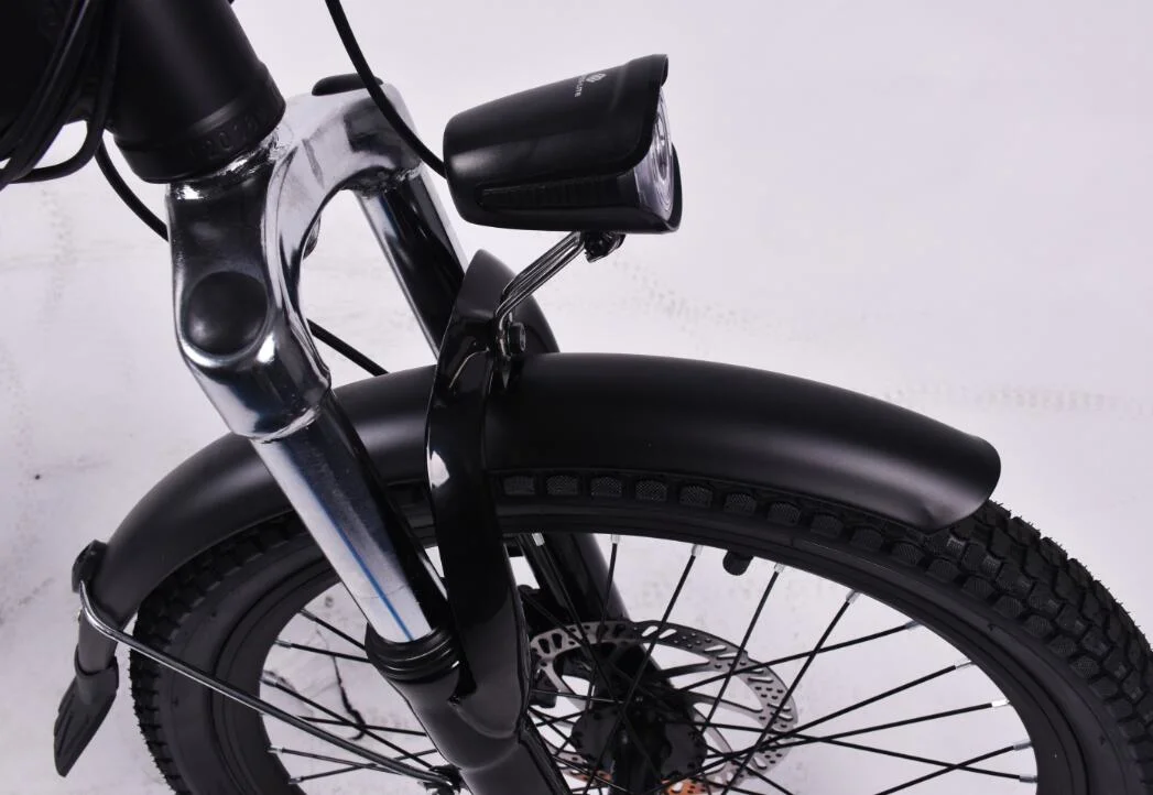 Senhora Ebike Dobra Estilo 36V bicicleta eléctrica recarregável com marcação CE