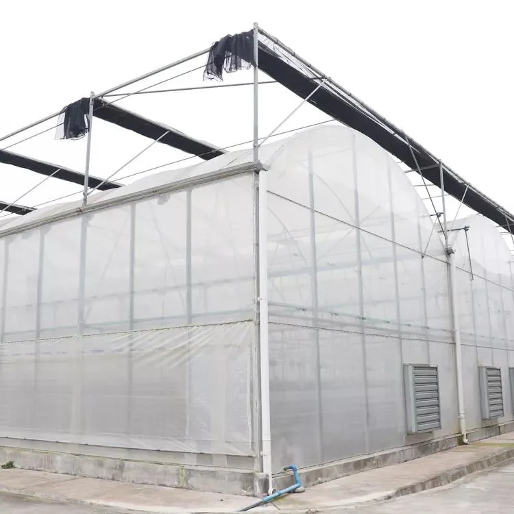 Agricultural Tunnel Greenhouse with Low Price Made in China