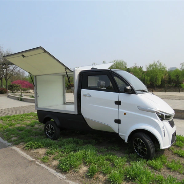 EEC Certificate Approved Mini Truck Electric Van for Logistics with Cargo Box for Delivery