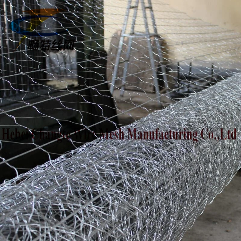 Bwg22 galvanizado en caliente de malla de alambre Gabion