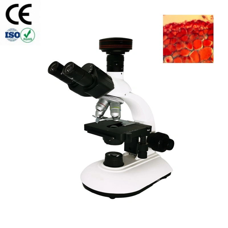 Los buenos precios Laboratorio Médico Trinocular Olympus microscopio binocular biológico