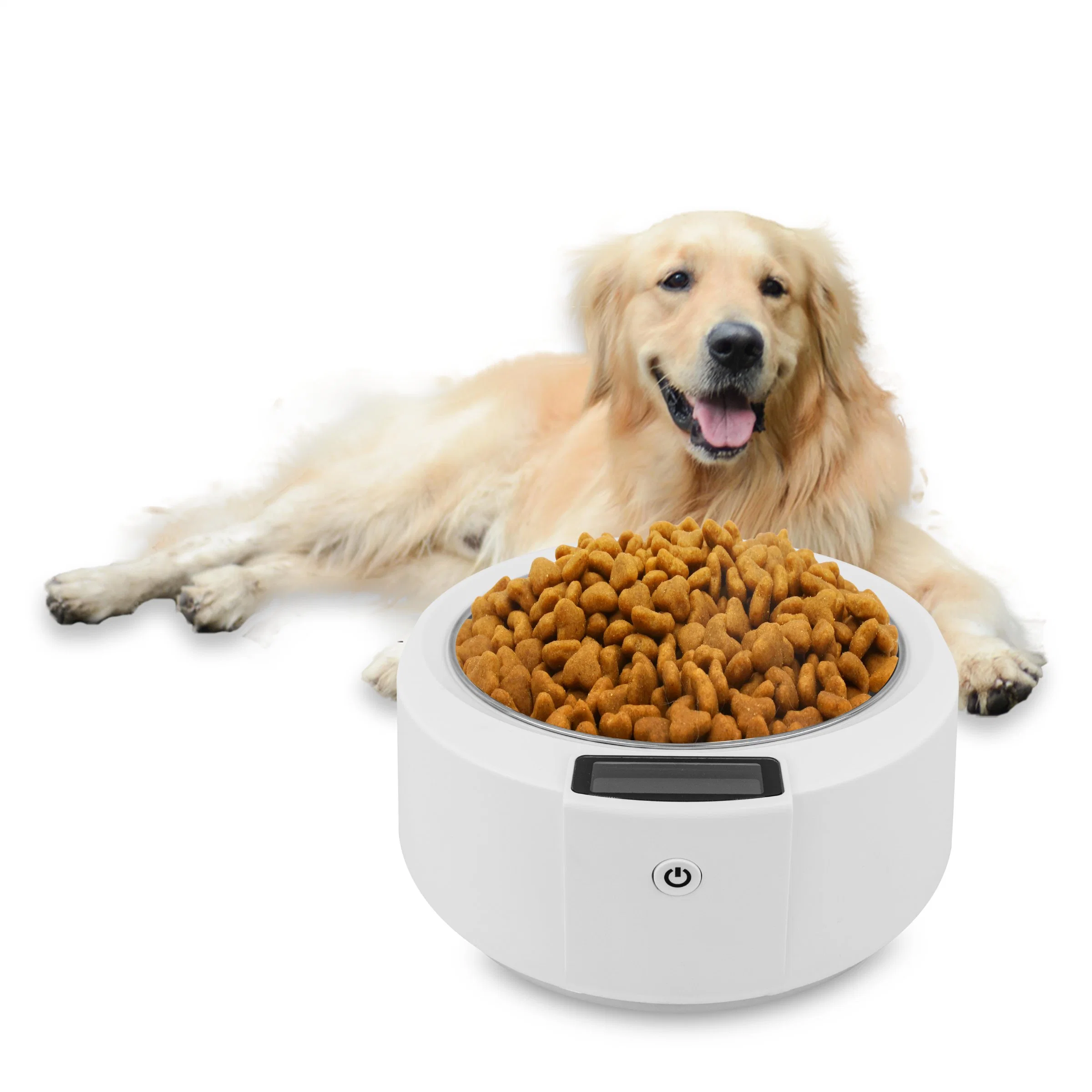 Electronic Pet Food Scale Stainless Steel Bowl