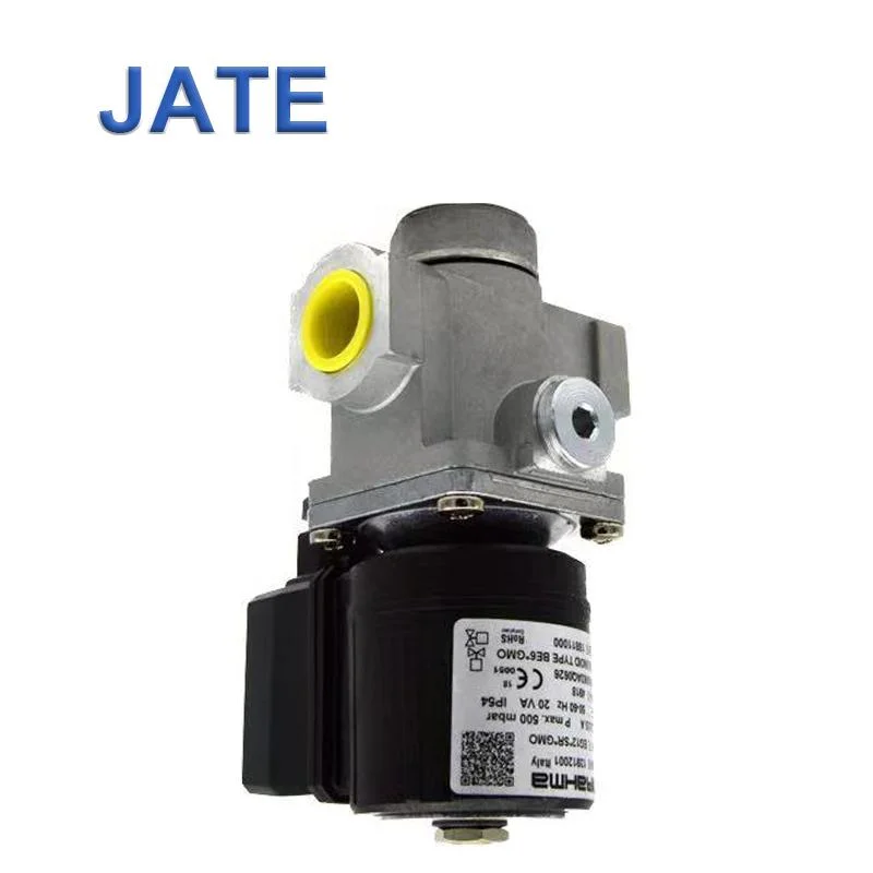 Brahma or Type Eg12 S GMO 13902001 Gas Solenoid Valve GMO Safety Solenoid Control Gas The Electromagnetic Valves for Burner Parts 220V AC