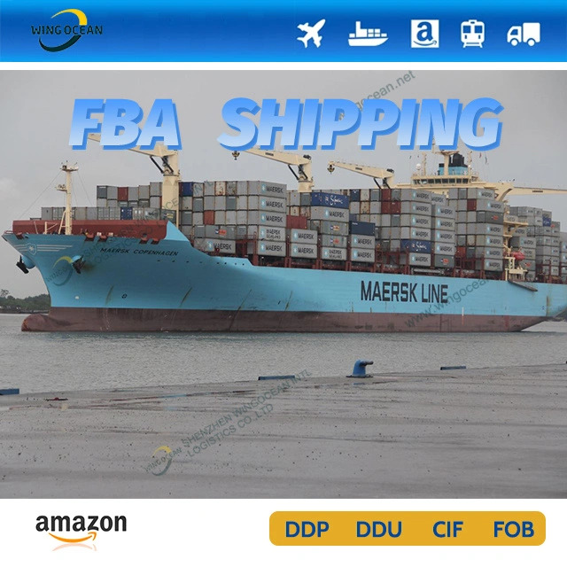 Sea Freight Professional International Logistics From China to USA/ Canada/ Europe