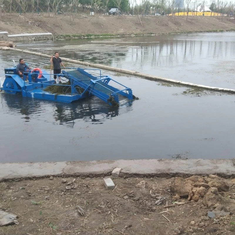 Aquatische Weed Harvester Schneidmaschine für Fluss Reinigung