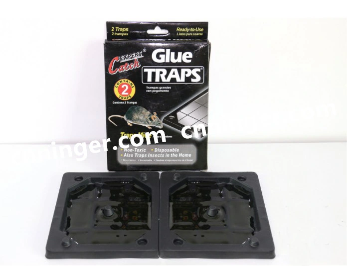 High quality/High cost performance Plastic Mouse Glue Traps