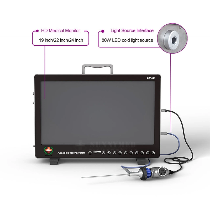 SY-PS050 New Model Glass Monitor Portable Screen Monitor HD 1920X1080p Endoscope Camera