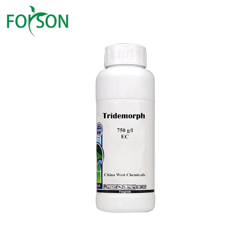 Wholesale/Supplier High Quanlity Fungicides Tridemorph 98% Tc for Factory Sale