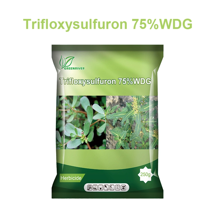 Herbicide de haute qualité Trifloxysulfuron 75% Wdg