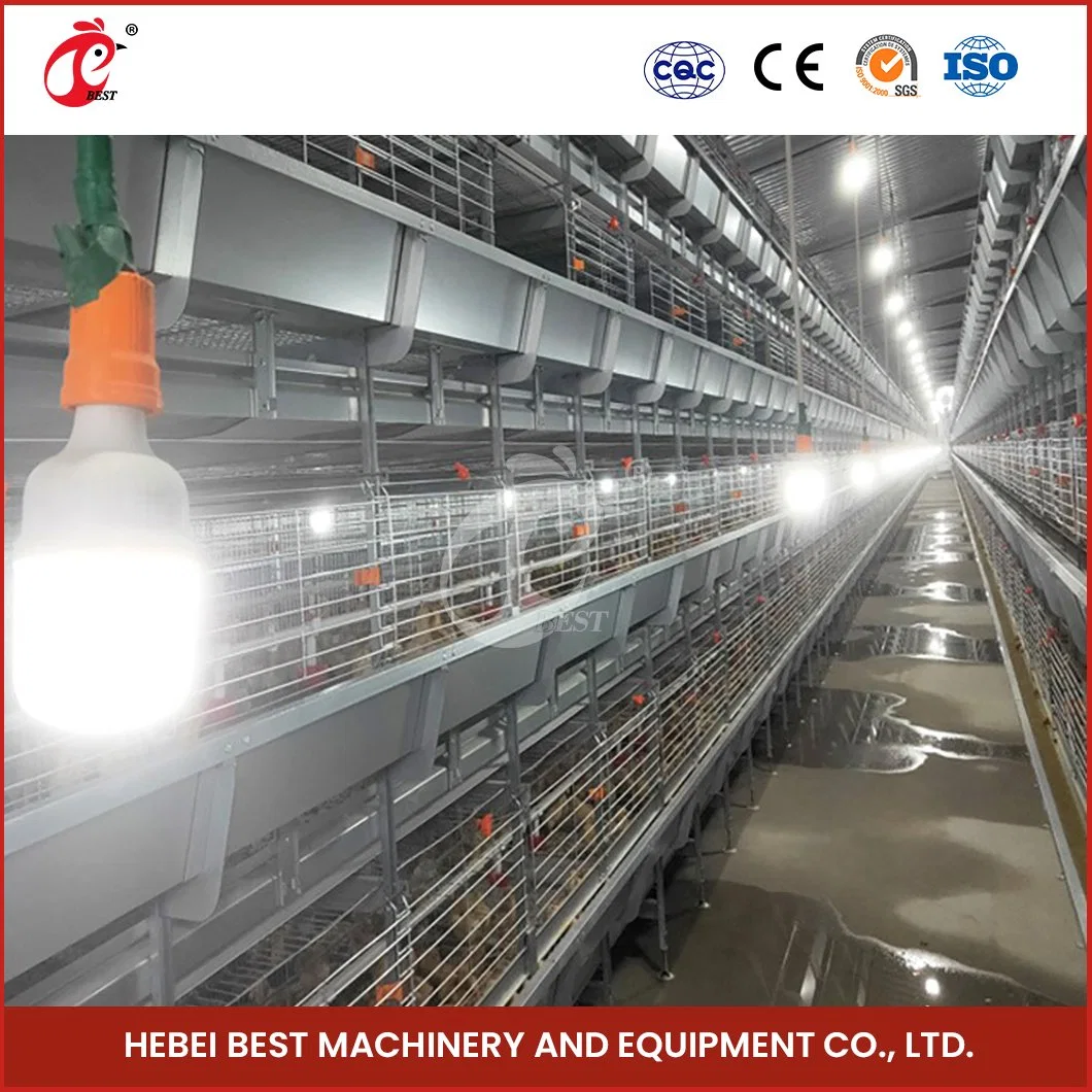 Bestchickencage China Chicken Laying House Factory H Frame Automatic Boriler Cages ODM Custom Acrylic Material 8h Fully Automated Battery Layer Chicken Cages