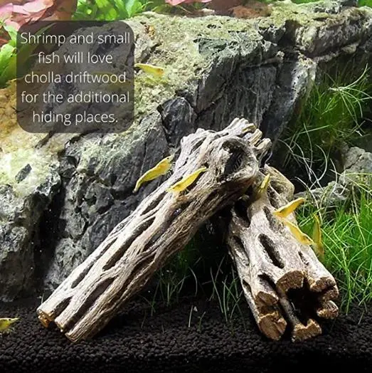 Natural Wood for Aquarium, Fish Tanks, Shrimp, Hermit Crab Decorations, Reptile Habitatsdriftwood