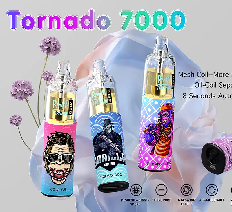 Factory Wholesale/Supplier Disposable/Chargeable Vape E Cigarette Original Randm Tornado 7000 Puffs Vape
