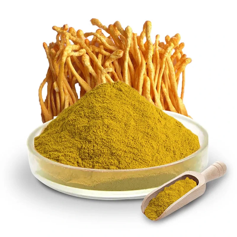 Mejor Precio Extracto de Cordyceps sinensis polvo de Cordycepin 98% polvo