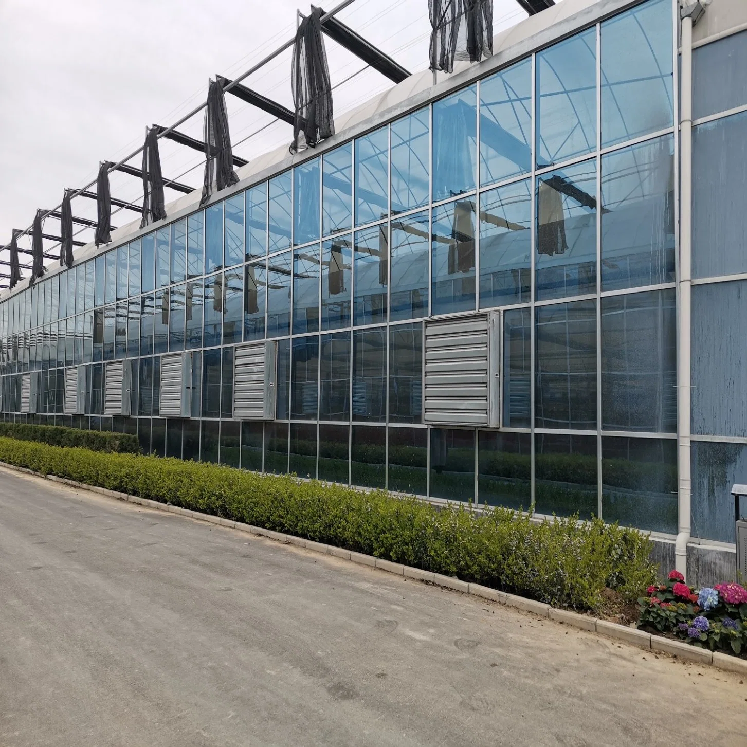 Ebb Glass Nursery Greenhouse with Shading Net System