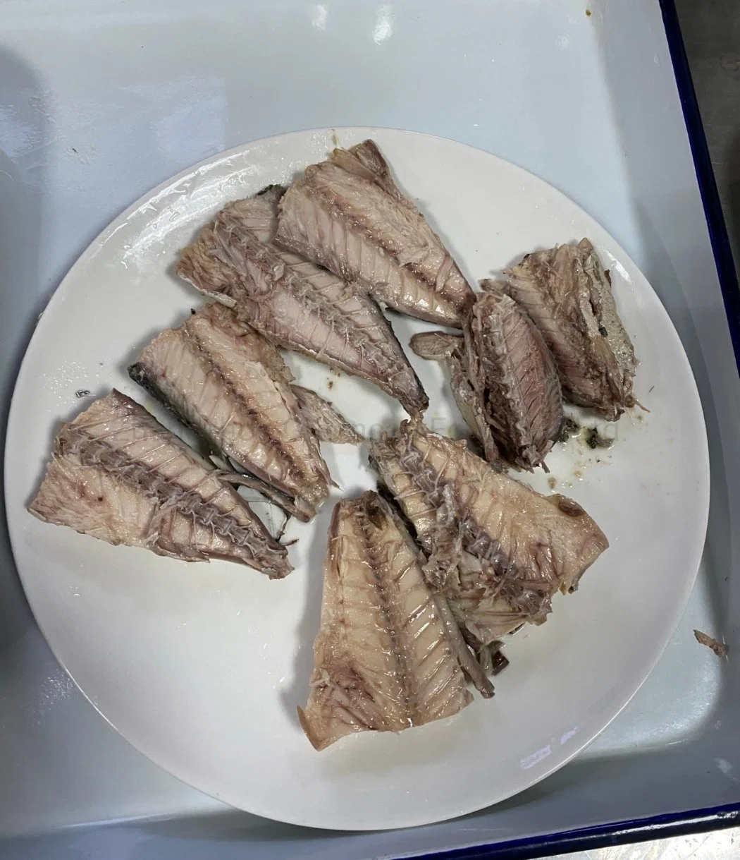 Seafood Manufacturing Canned Mackerel Fish in Brine Exported to Chile 425g