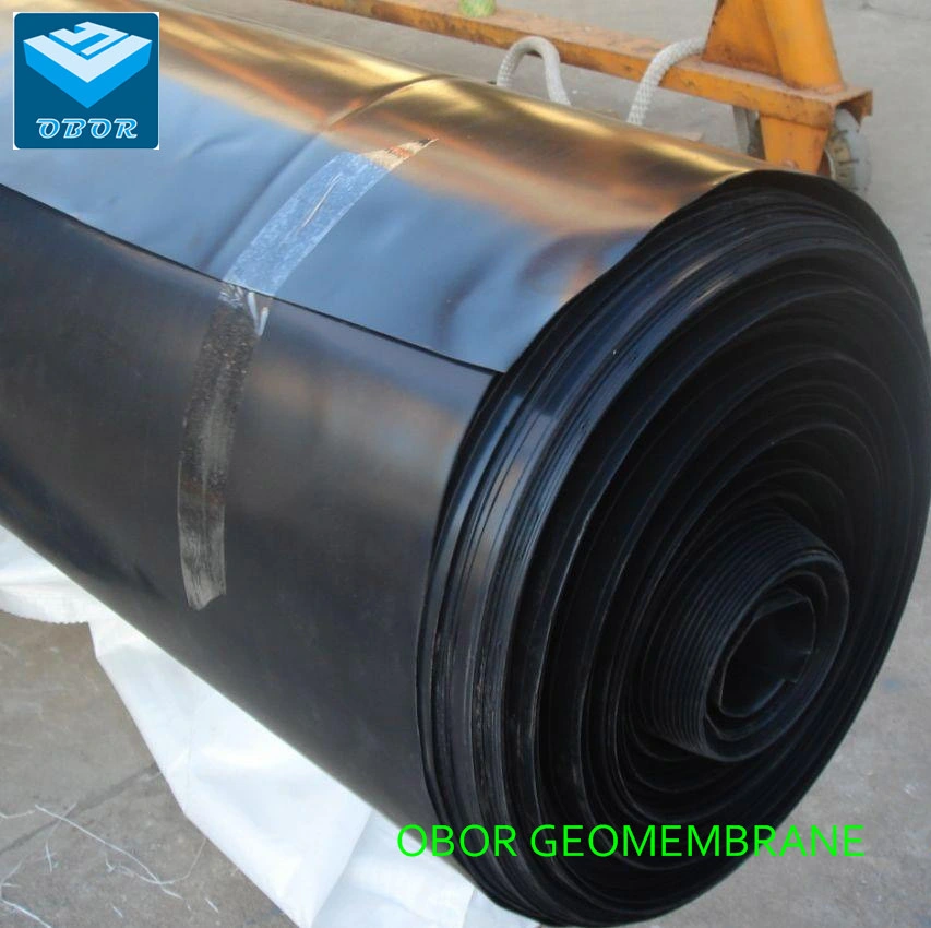 Geomembrane Earthwork Products Plastic Fish Farming Pond with Direct Factory Price China