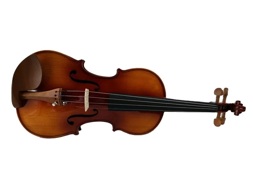 Hot Maple Advanced Sale China Carriage Case Violin