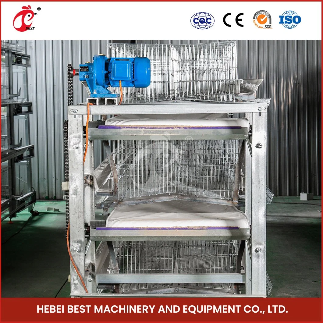 Bestchickencage H Type Pulled Brooder Cage Breeder Cage China Mobile Pullet Hen Manufacturing Wholesale/Supplier Long Service Life 5 Chicken Pullet House Cage