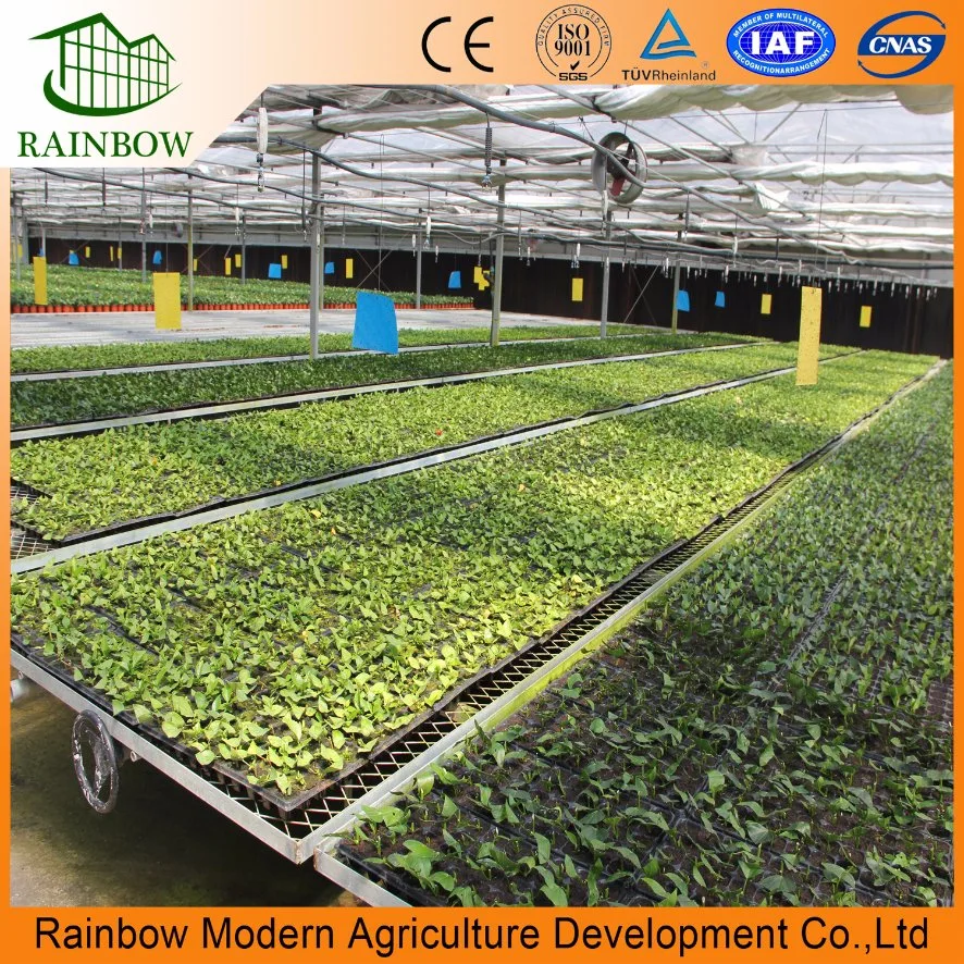 Greenhouse Drip Flower Water Saving Irrigation System