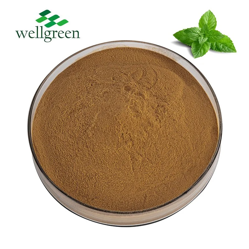 Wellgreen Natural Water Soluble Food Grade Organic Mint Spearmint Peppermint Extract Powder