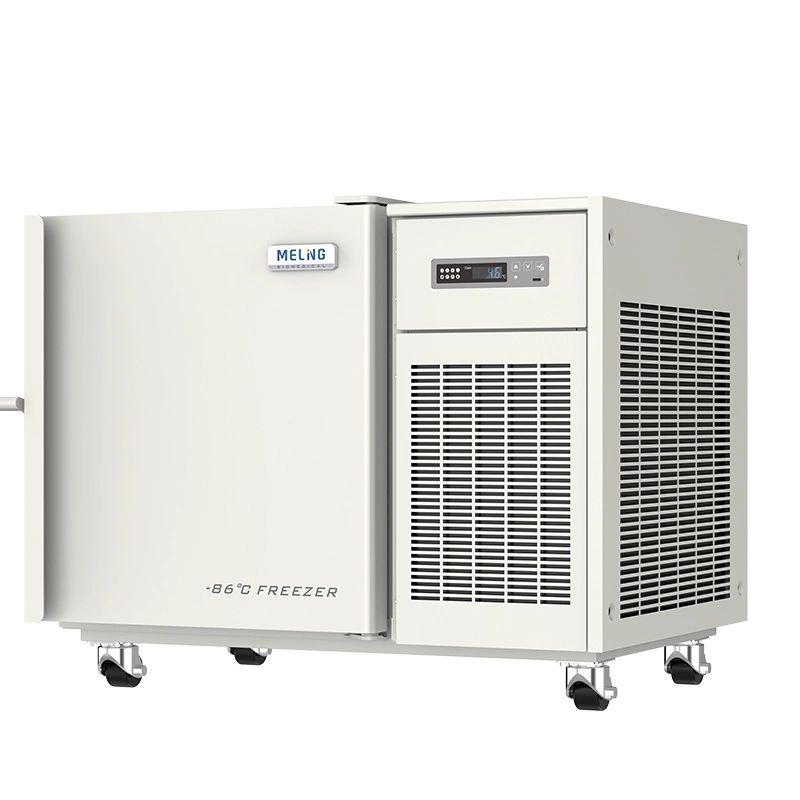 CE Confirmed Top Quality Ultra Low Temperature Refrigerator with Secop Compressor and Coil Tube Evaporator (DW-HL100HC)