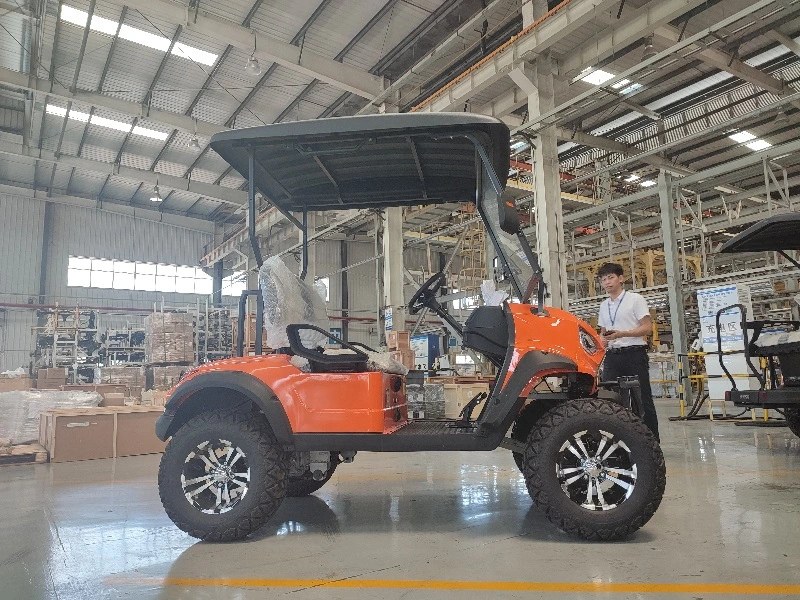 Wuling Lifted Golf Cart mit 2 Plätzen 5kw Power Motor CE-Zertifizierung