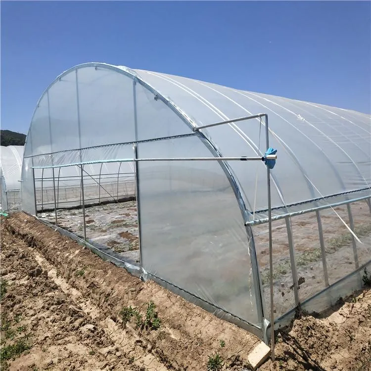 Precio de los sistemas hidropónicos Single-Span Film de gases de efecto para las verduras y flores.