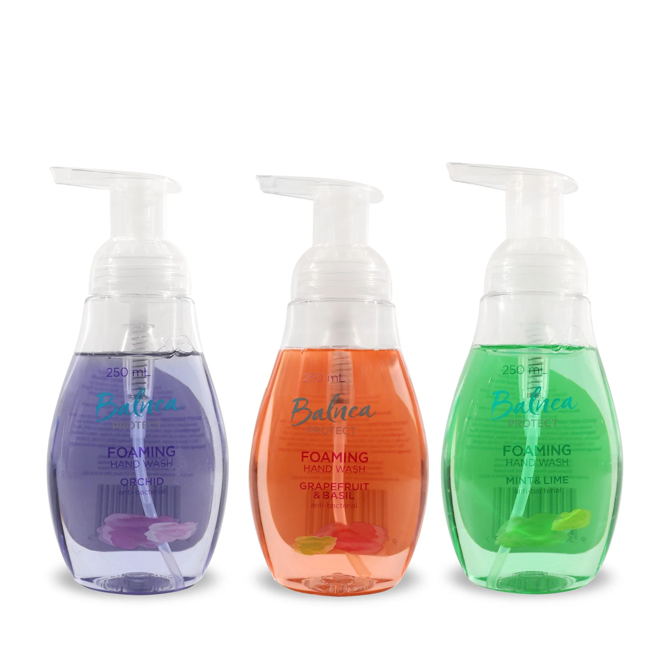 Grapefruit & Basil Moisturizing Anti-Bacterial Foaming Hand Wash Moisturizing Anti-Bacterial Foaming Hand Soap