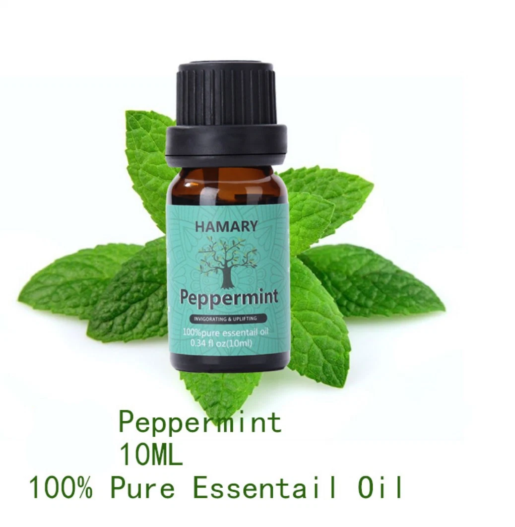 Wholesales Private Label Promoting Healthy Digestion Peppermint Oil 10ml