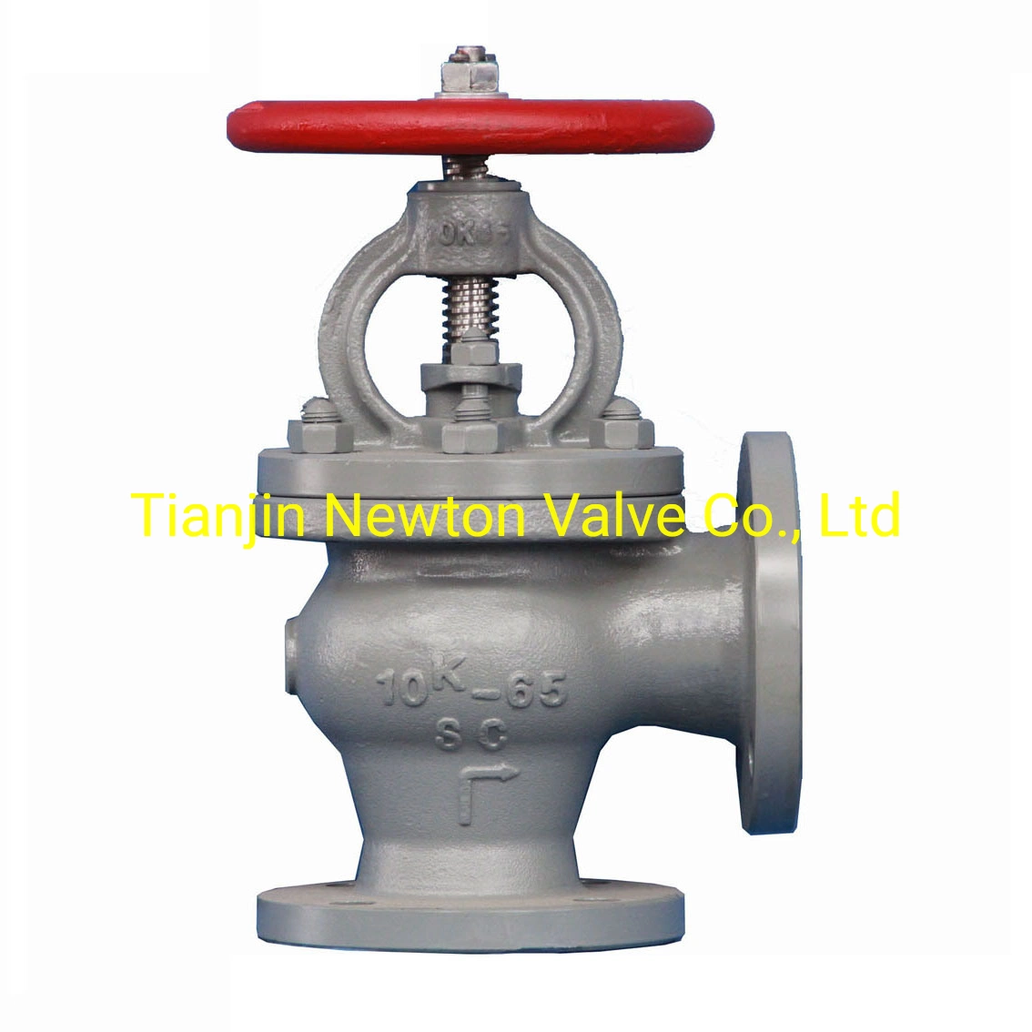 DIN JIS Metal Seat Ductile Cast Iron Double Flange Gate Globe Swing Check Valve Non-Return for Marine JIS5K 10K 16K for Marine Sea Water Steam Nrs OS&Y