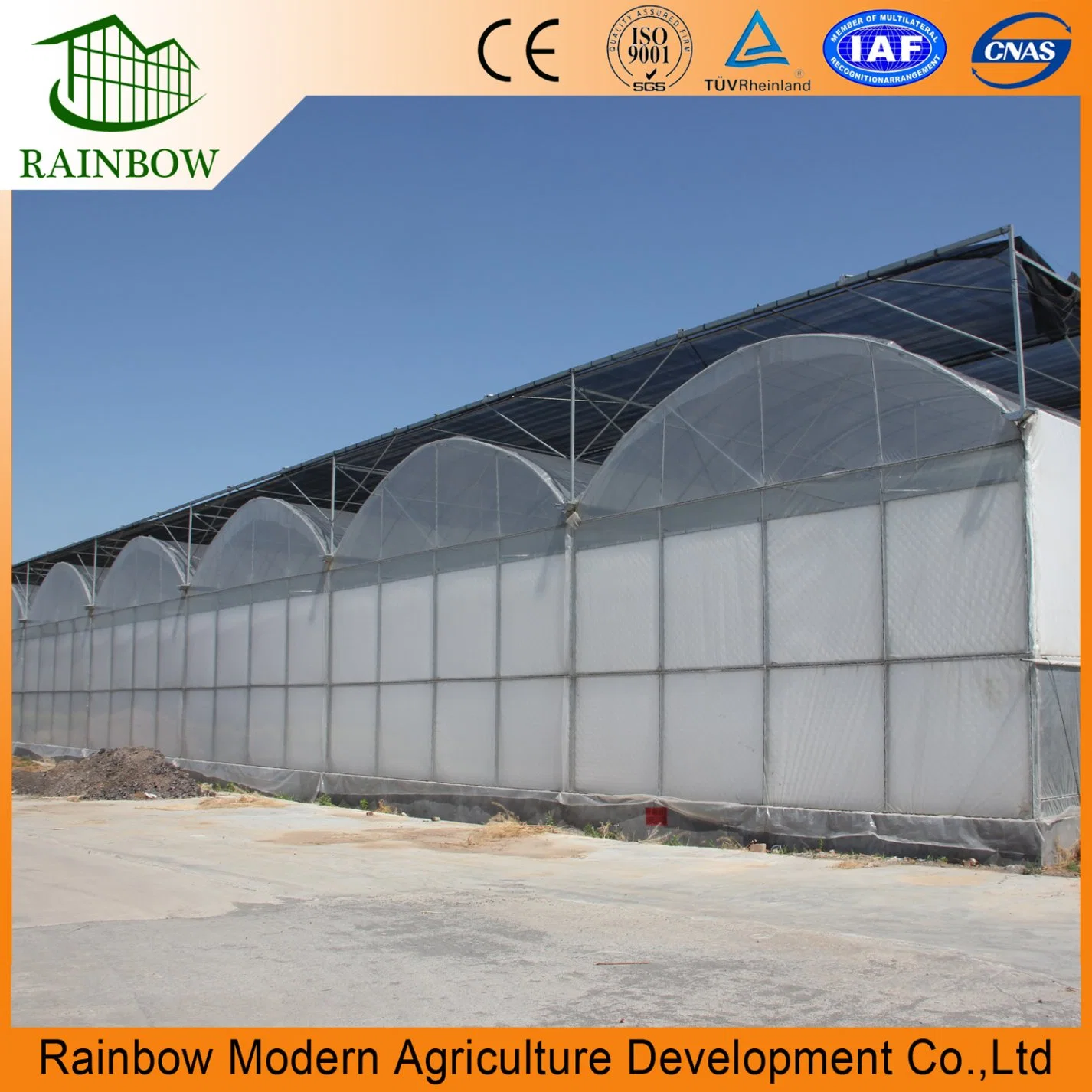 Hot Tunnel Film Greenhouse with Hydroponic Farming Systems