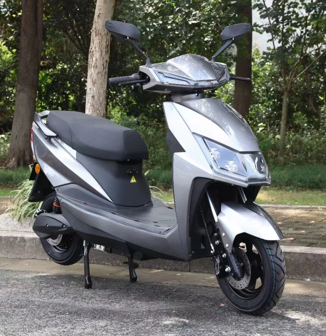 Doble rueda de aluminio ampliado motocicleta eléctrica Quitar la batería Seguridad Luz trasera 800W Nuevo diseño de scooter eléctrico de motor mini