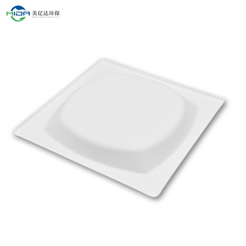 Eco-Friendly Sugarcane Square Plate Biodegradable Disposable Food Container Kitchenware Tableware