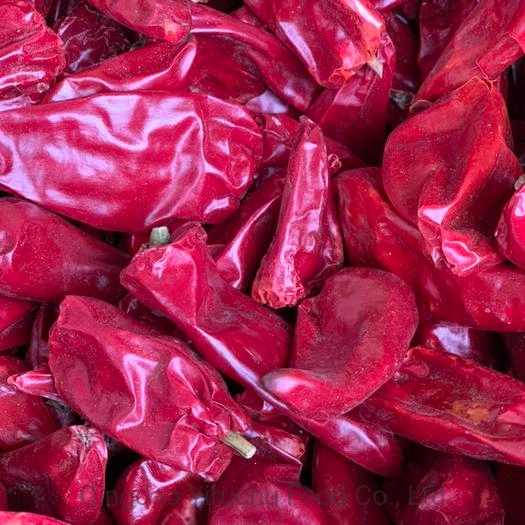 Pimiento rojo chino que puede reforzar la circulación sanguínea