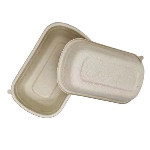 Boîte d'emballage en cellulose de canne à sucre dégradable blanche