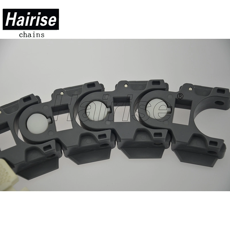 Hairise PT250 Flexible Slat Top Link Chain for Milk Industry with FDA& Gsg Certificate