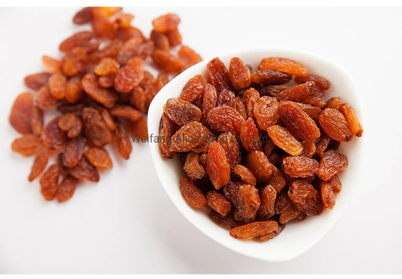 Wholesale/Supplier Xinjiang Factory Low Price Dried Red Raisins Bakery Sultana Raisins