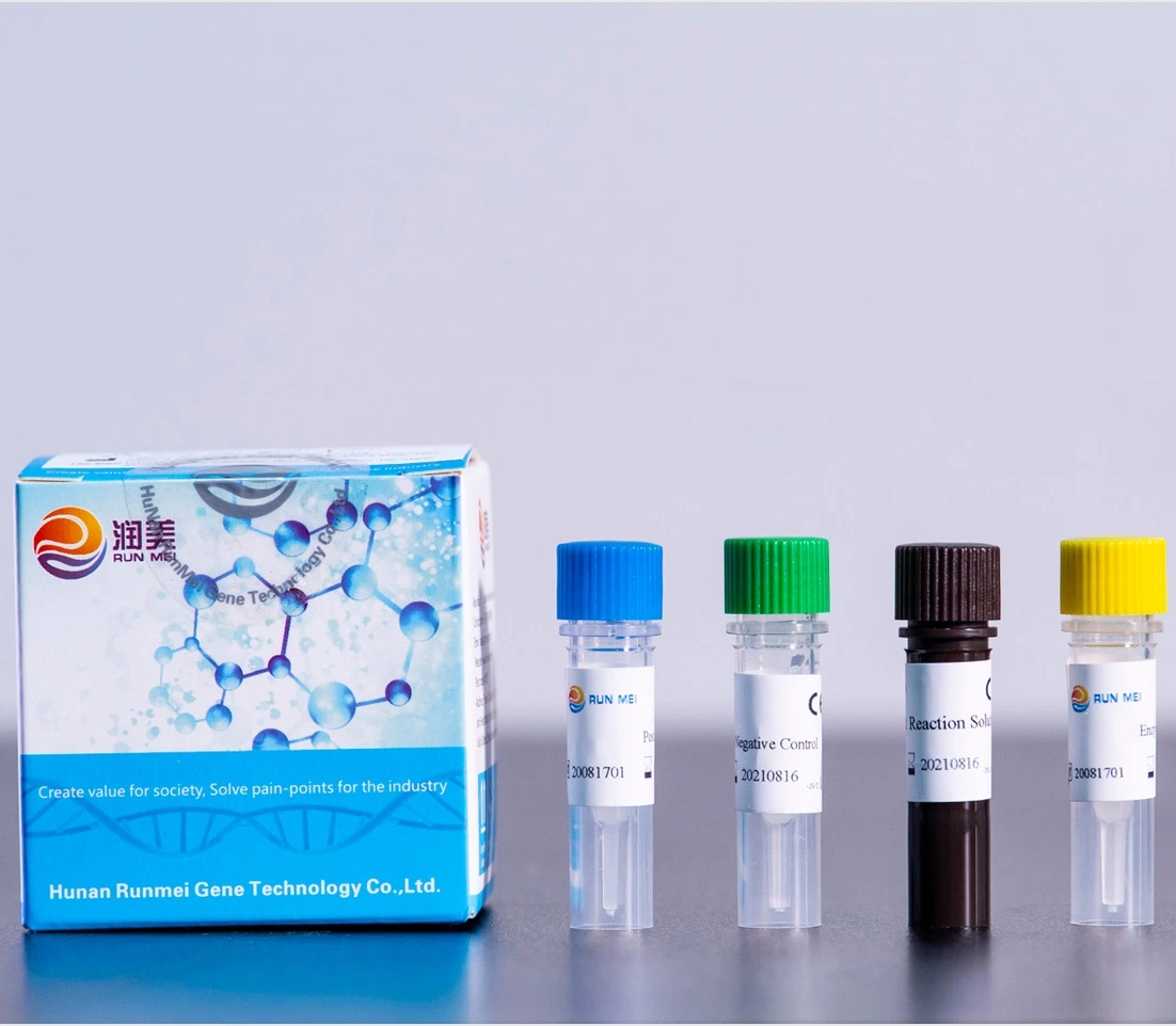 Reagents for PCR Examinations