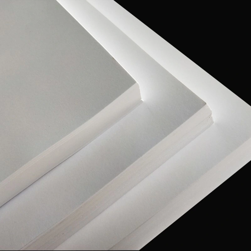 Folding Box Board C1s Ivory Board Paper Fbb in Sheet