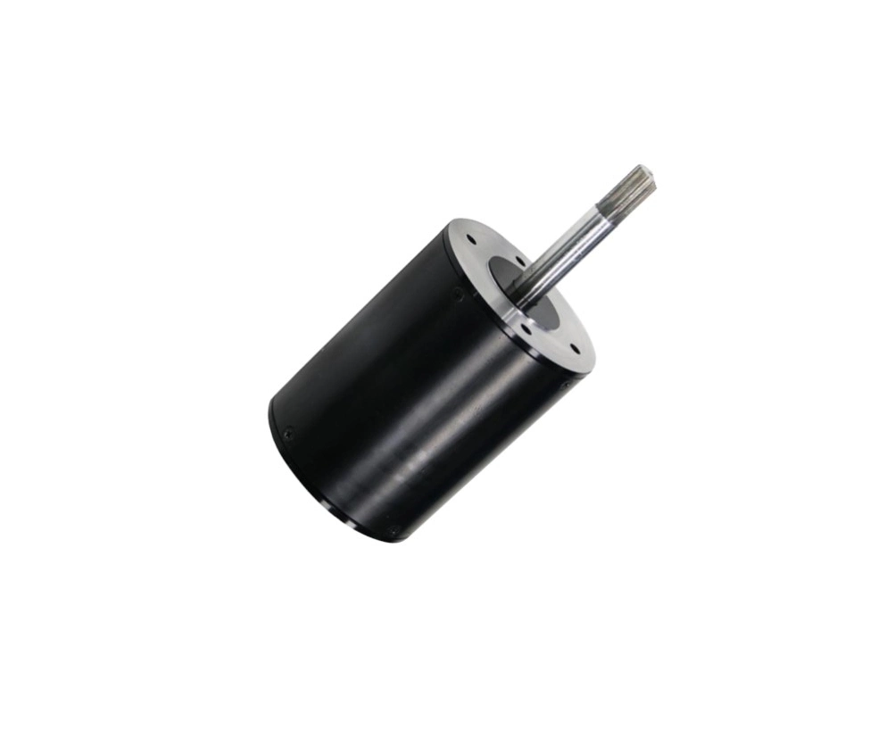 220V DC BLDC Brushless 800&plusmn; 5%Rpm BLDC Electric Motor