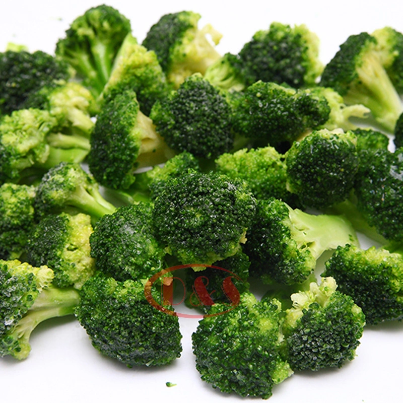 Manufacturer Brc/Sedex/Halal Certified IQF Frozen Broccoli 30*50mm