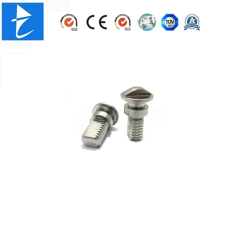 The Factory Custom OEM Precision Automatic Lathing Lock Spring Toggle Bolts