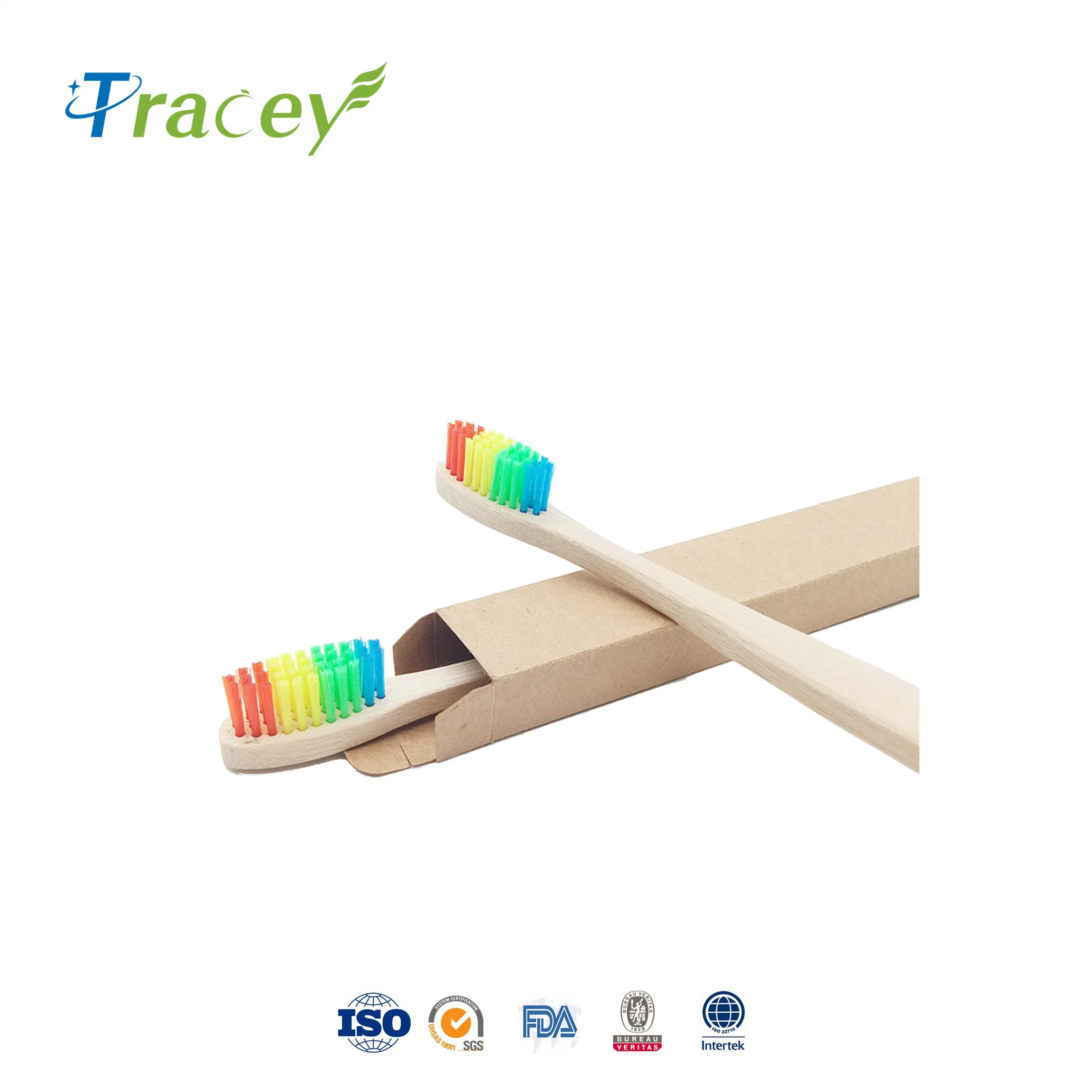 Biodegradable Rainbow Nylon 4 10 Pack 10 PCS Charcoal Bamboo Toothbrush Manufacturer