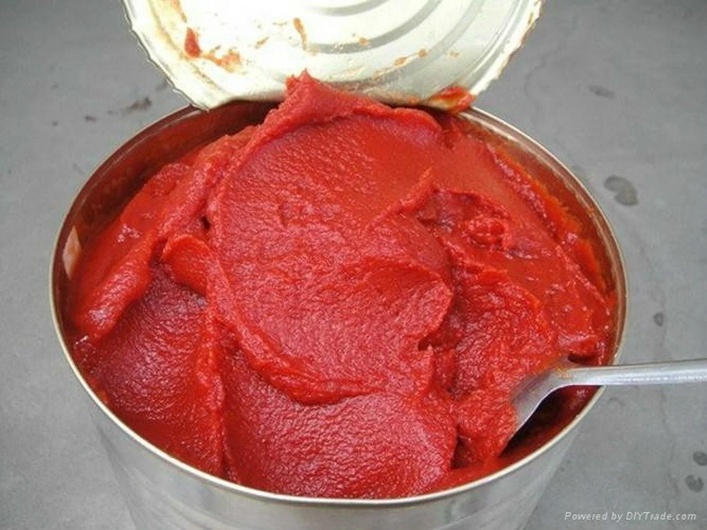 70g Easy Open Canned Tomato Paste with Excllent Quality