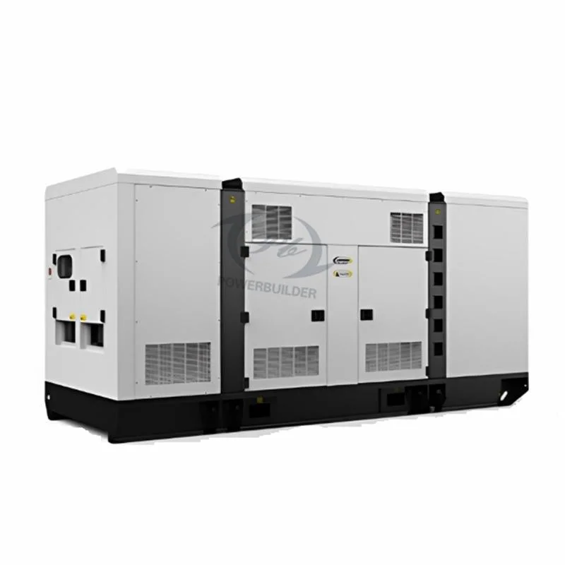 Quality Warranted Diesel Engine Genset Diesel Generator Set